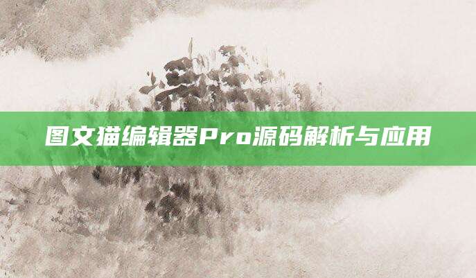 图文猫编辑器Pro源码解析与应用
