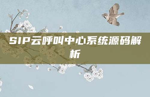 SIP云呼叫中心系统源码解析