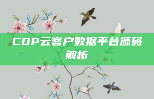 CDP云客户数据平台源码解析
