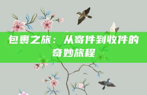 包裹之旅：从寄件到收件的奇妙旅程