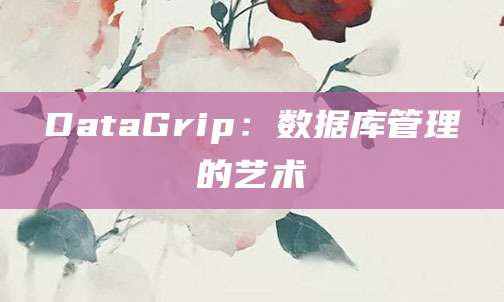 DataGrip：数据库管理的艺术