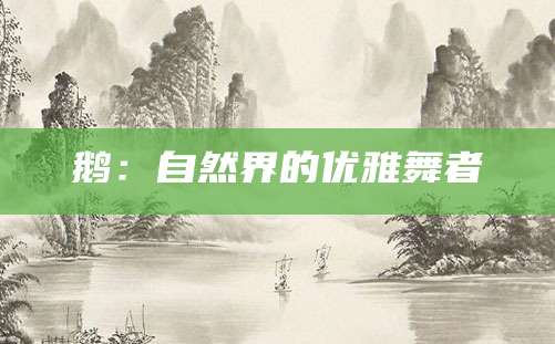 鹅：自然界的优雅舞者