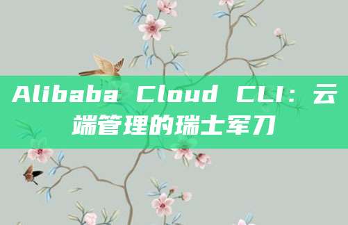 Alibaba Cloud CLI：云端管理的瑞士军刀