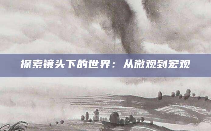 探索镜头下的世界：从微观到宏观